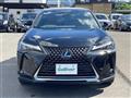 2019 Lexus UX