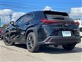 2019 Lexus UX