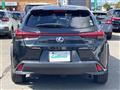 2019 Lexus UX