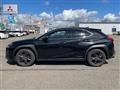 2019 Lexus UX