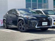 2019 Lexus UX