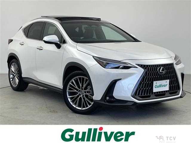 2023 Lexus NX