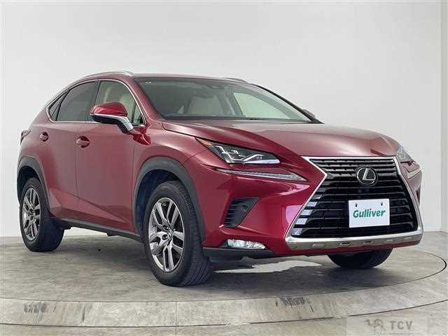 2018 Lexus NX