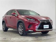 2018 Lexus NX