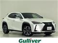 2019 Lexus UX