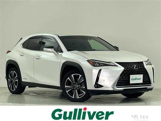 2019 Lexus UX