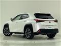 2019 Lexus UX