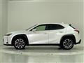 2019 Lexus UX