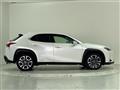 2019 Lexus UX