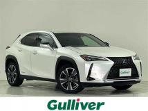 2019 Lexus UX