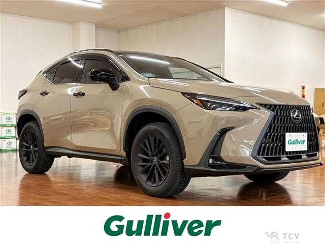 2025 Lexus NX