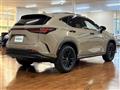 2025 Lexus NX