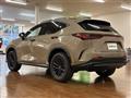 2025 Lexus NX