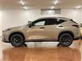 2025 Lexus NX