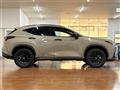 2025 Lexus NX