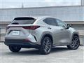 2022 Lexus NX