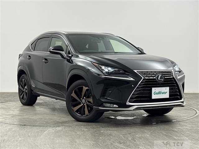 2021 Lexus NX