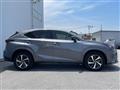 2021 Lexus NX