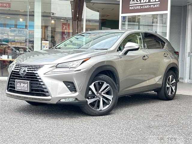 2018 Lexus NX