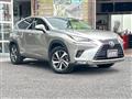 2018 Lexus NX