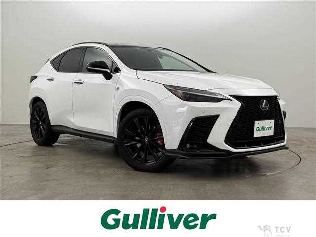 2022 Lexus NX