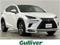 2018 Lexus NX