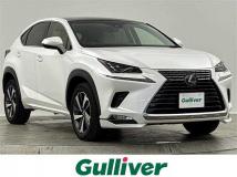 2018 Lexus NX