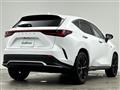 2021 Lexus NX