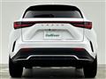 2021 Lexus NX