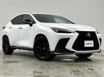 2021 Lexus NX