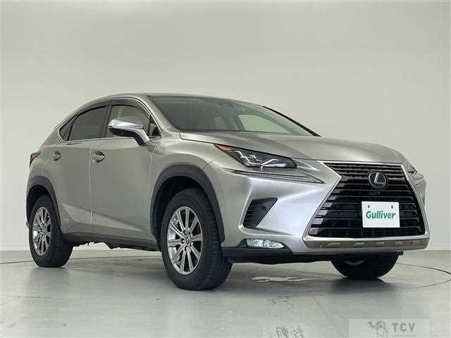 2021 Lexus NX