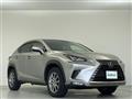 2021 Lexus NX