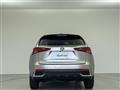 2021 Lexus NX