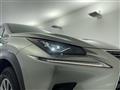 2021 Lexus NX