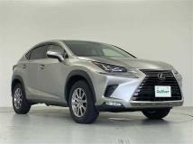 2021 Lexus NX