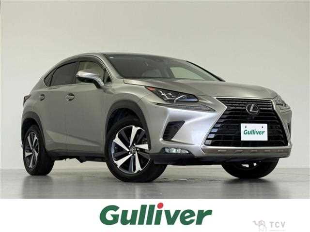 2019 Lexus NX