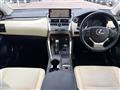 2019 Lexus NX