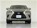 2019 Lexus NX