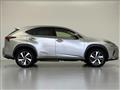 2019 Lexus NX