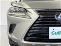 2019 Lexus NX
