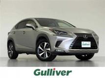 2019 Lexus NX