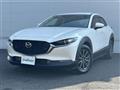2021 Mazda CX-3