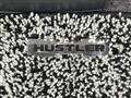 2014 Suzuki Hustler