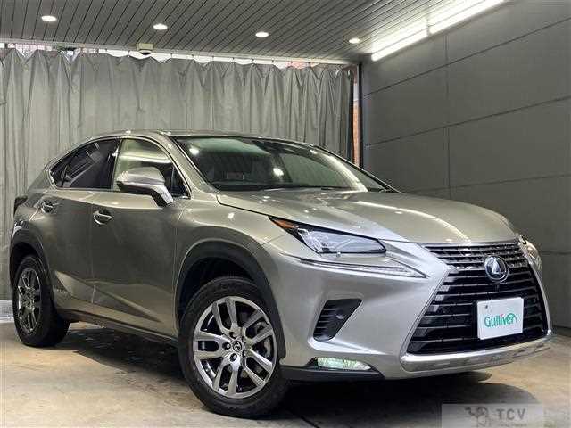 2019 Lexus NX