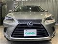 2019 Lexus NX