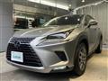 2019 Lexus NX