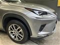 2019 Lexus NX