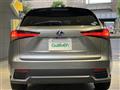 2019 Lexus NX