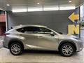 2019 Lexus NX
