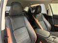 2019 Lexus NX